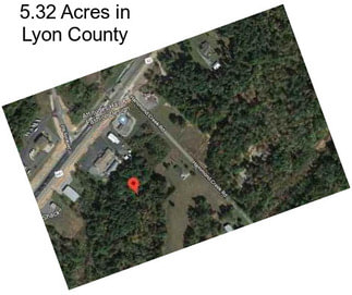 5.32 Acres in Lyon County
