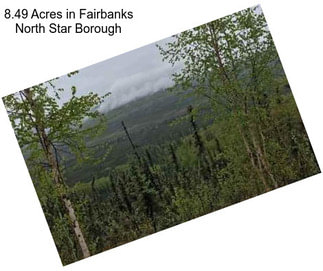 8.49 Acres in Fairbanks North Star Borough