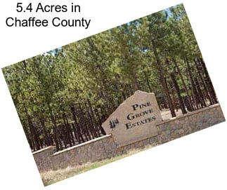 5.4 Acres in Chaffee County