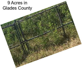 9 Acres in Glades County