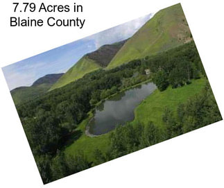 7.79 Acres in Blaine County