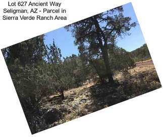Lot 627 Ancient Way Seligman, AZ - Parcel in Sierra Verde Ranch Area