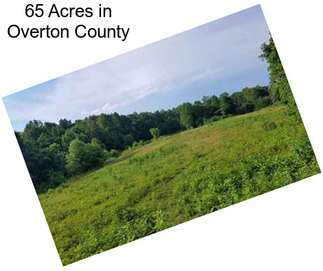 65 Acres in Overton County