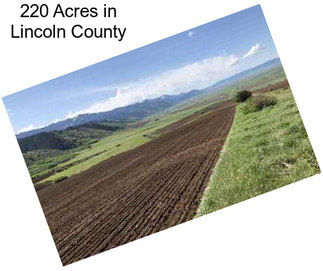220 Acres in Lincoln County