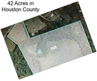 42 Acres in Houston County