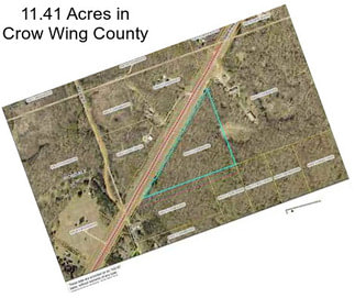 11.41 Acres in Crow Wing County
