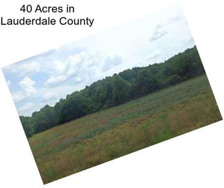 40 Acres in Lauderdale County