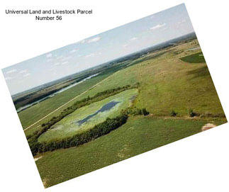 Universal Land and Livestock Parcel Number 56