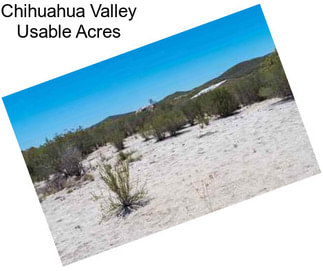 Chihuahua Valley Usable Acres