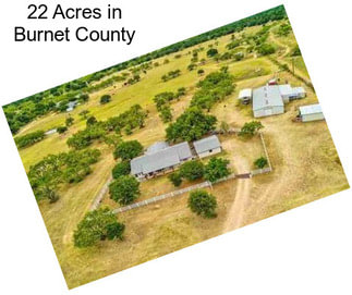 22 Acres in Burnet County