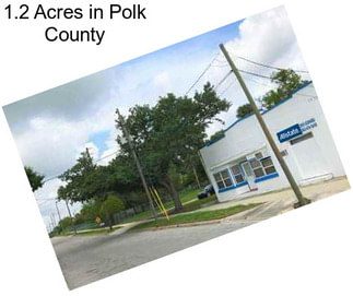 1.2 Acres in Polk County