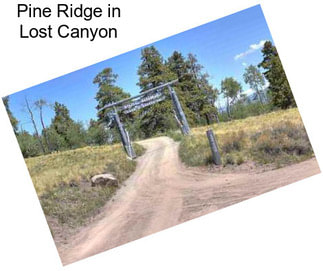 Pine Ridge in Lost Canyon