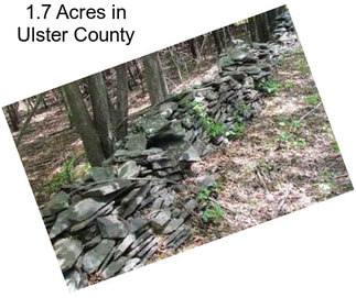 1.7 Acres in Ulster County