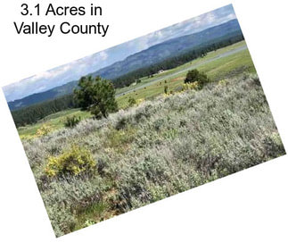 3.1 Acres in Valley County