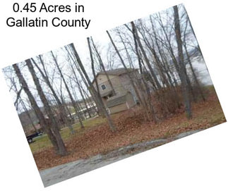 0.45 Acres in Gallatin County