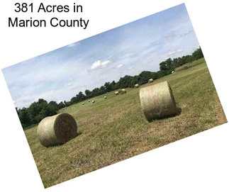 381 Acres in Marion County