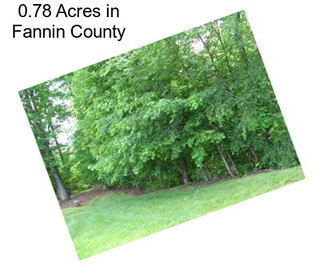 0.78 Acres in Fannin County
