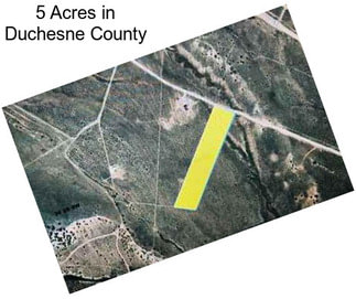 5 Acres in Duchesne County