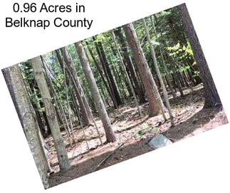 0.96 Acres in Belknap County