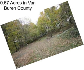 0.67 Acres in Van Buren County