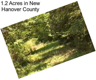 1.2 Acres in New Hanover County