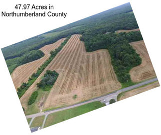 47.97 Acres in Northumberland County
