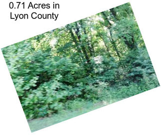 0.71 Acres in Lyon County