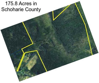 175.8 Acres in Schoharie County
