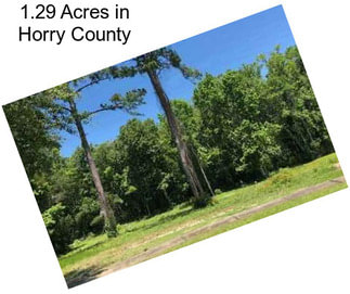 1.29 Acres in Horry County