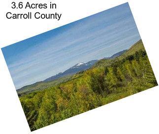 3.6 Acres in Carroll County