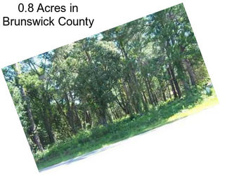 0.8 Acres in Brunswick County