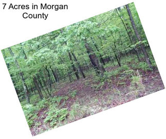 7 Acres in Morgan County