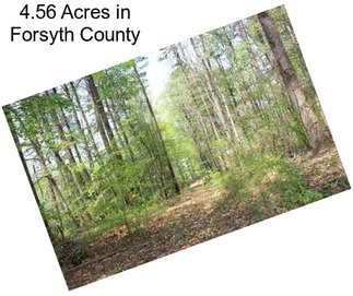 4.56 Acres in Forsyth County