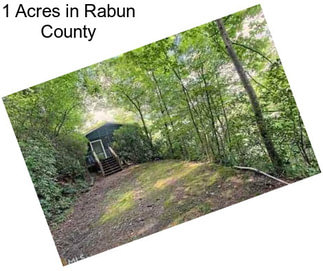 1 Acres in Rabun County