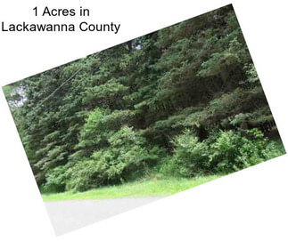 1 Acres in Lackawanna County