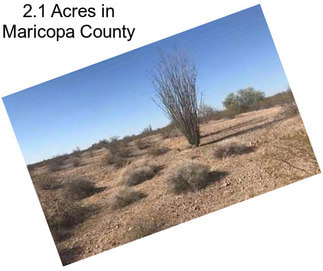 2.1 Acres in Maricopa County