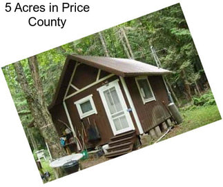 5 Acres in Price County