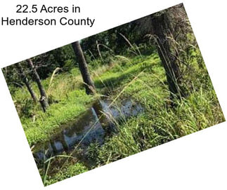 22.5 Acres in Henderson County