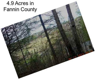 4.9 Acres in Fannin County