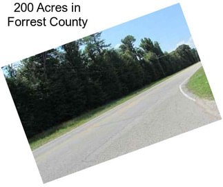 200 Acres in Forrest County