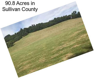 90.8 Acres in Sullivan County