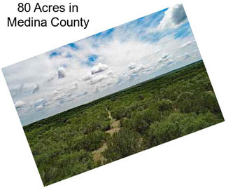 80 Acres in Medina County