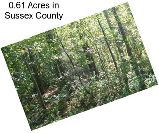 0.61 Acres in Sussex County