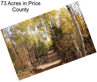 73 Acres in Price County