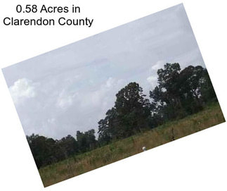 0.58 Acres in Clarendon County
