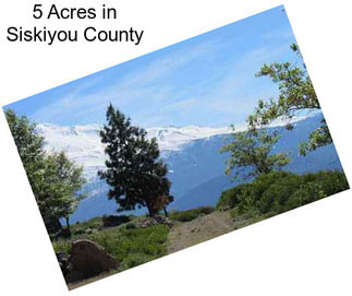 5 Acres in Siskiyou County