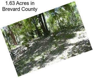 1.63 Acres in Brevard County