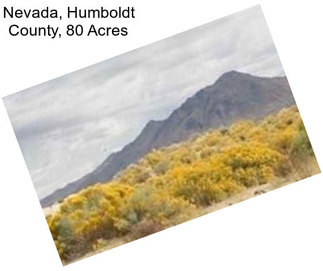 Nevada, Humboldt County, 80 Acres