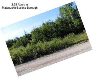 2.58 Acres in Matanuska-Susitna Borough