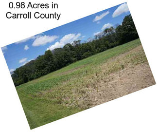 0.98 Acres in Carroll County